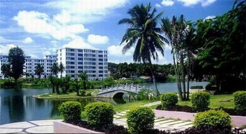 夢(mèng)歌愛吃什么原因（夢(mèng)歌的老公是誰）